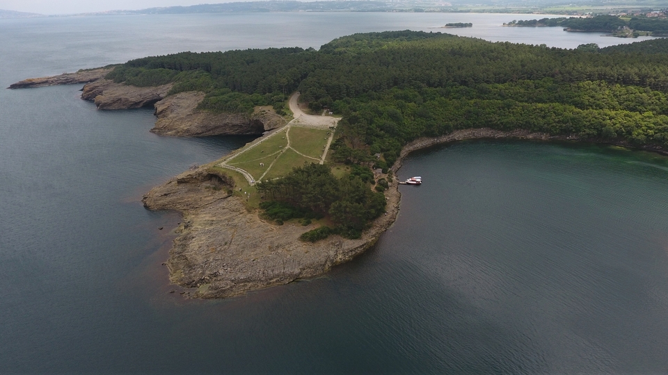 Denizle ormanın birleştiği tabiat harikası