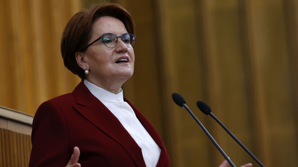 Akşener'den Elmalı tepkisi, Artagan Projesi tanıtımı