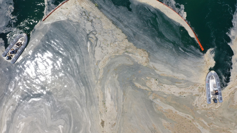 'Müsilajdan enerji elde edilebilir'