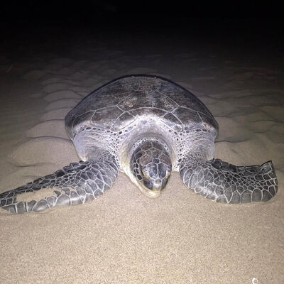 9 yıl aradan sonra bir ilk!