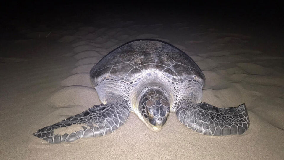 9 yıl aradan sonra bir ilk!