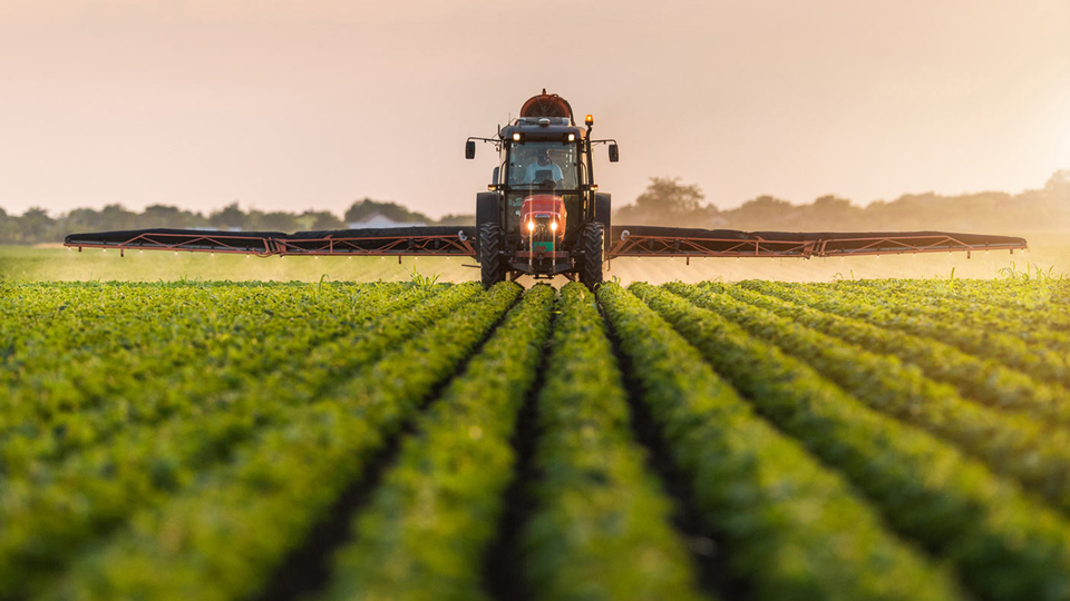 Tarımda ihracat atağa kalktı