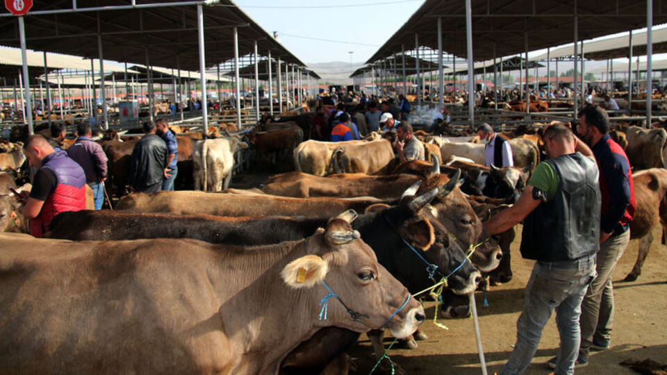 Kurban Bayramı tatili 9 gün mü olacak?
