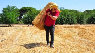 Teşekkürler öğretmenim!