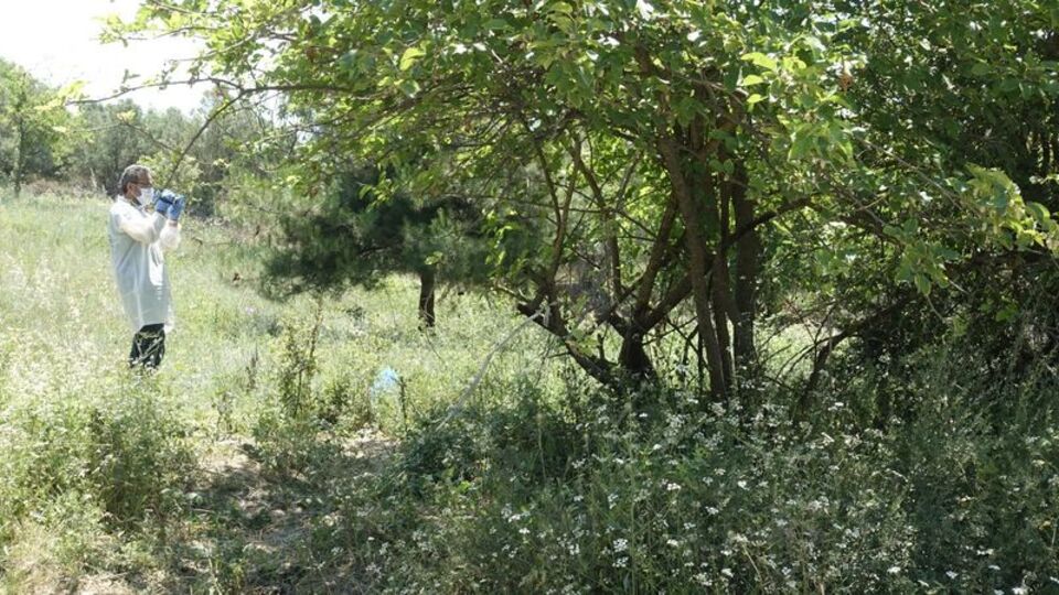 Tarla kenarında karton kutuda bebek dehşeti!