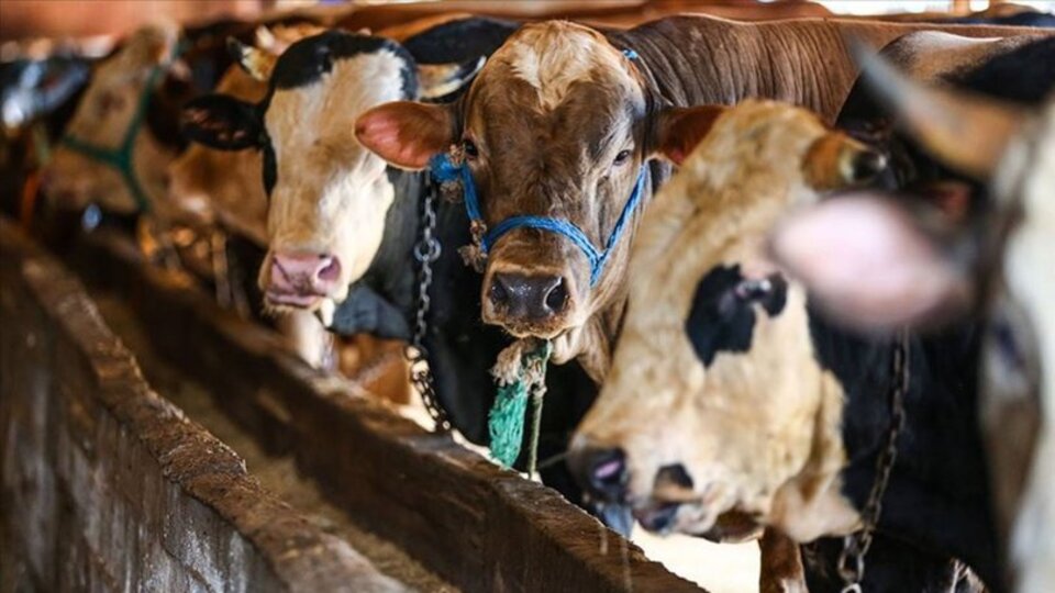 Bayram tatili kaç gün?