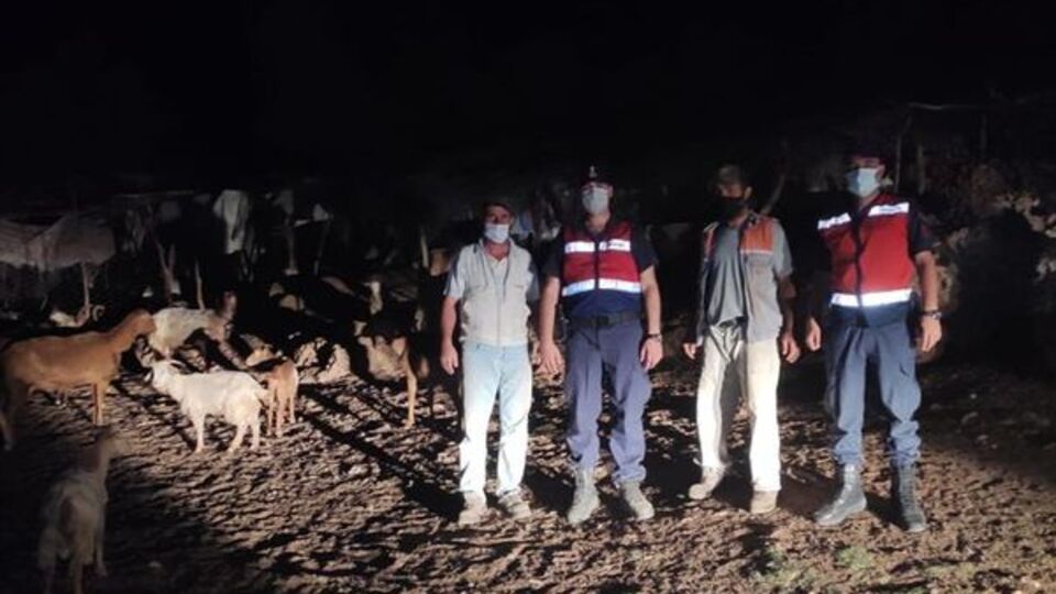 Jandarma kayıp keçileri drone ile buldu