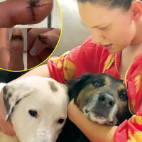 "Çok şükür, daha kötüsü olmadı"