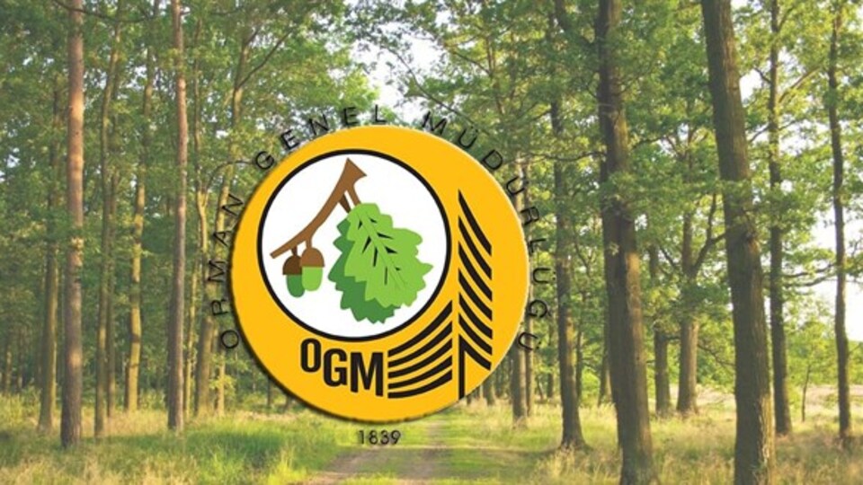 Orman Genel Müdürlüğü kura sonuçları 2021