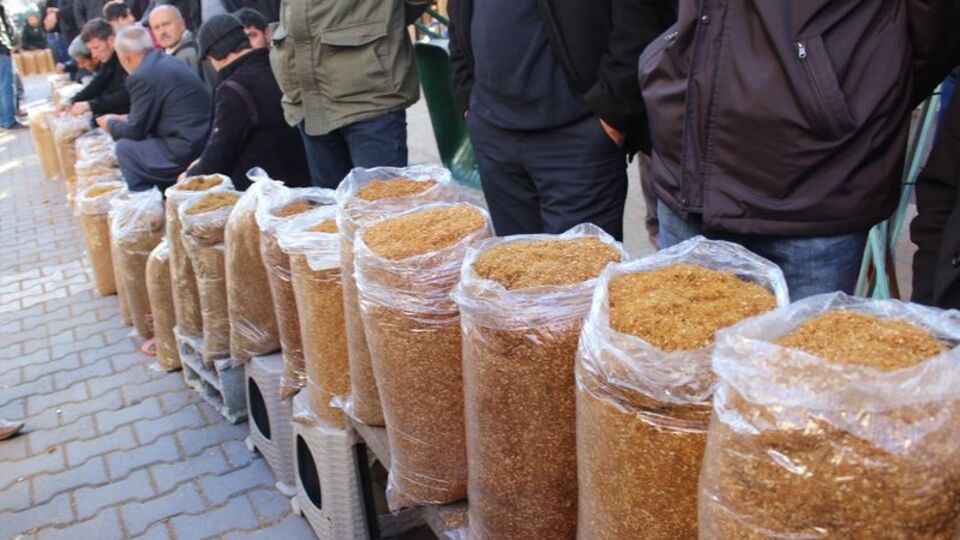 Tütün tartışması