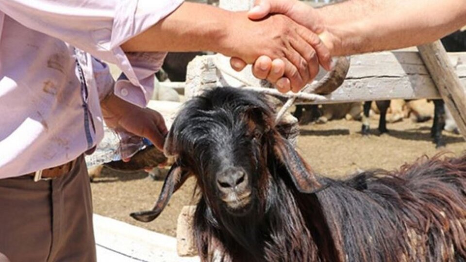 Kurban Bayramı tatili 9 gün oldu mu?