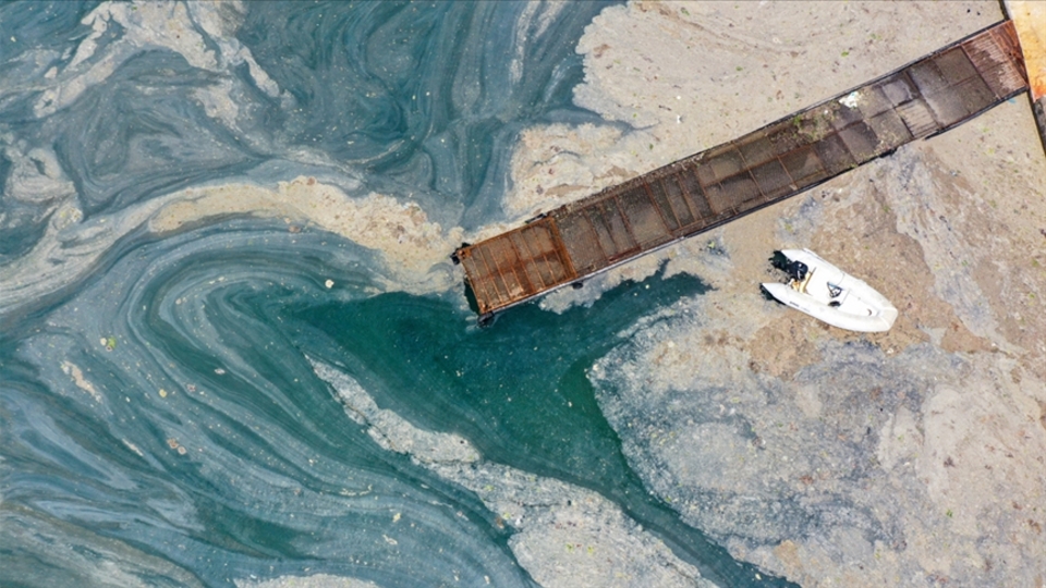 Müsilaj (Deniz salyası) nedir?