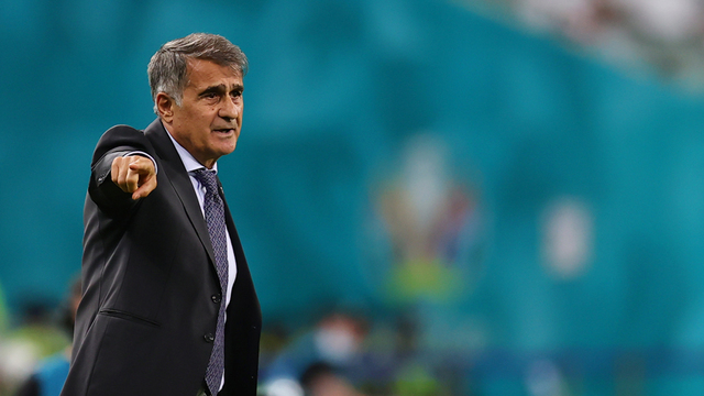 Şenol Güneş'ten istifa açıklaması