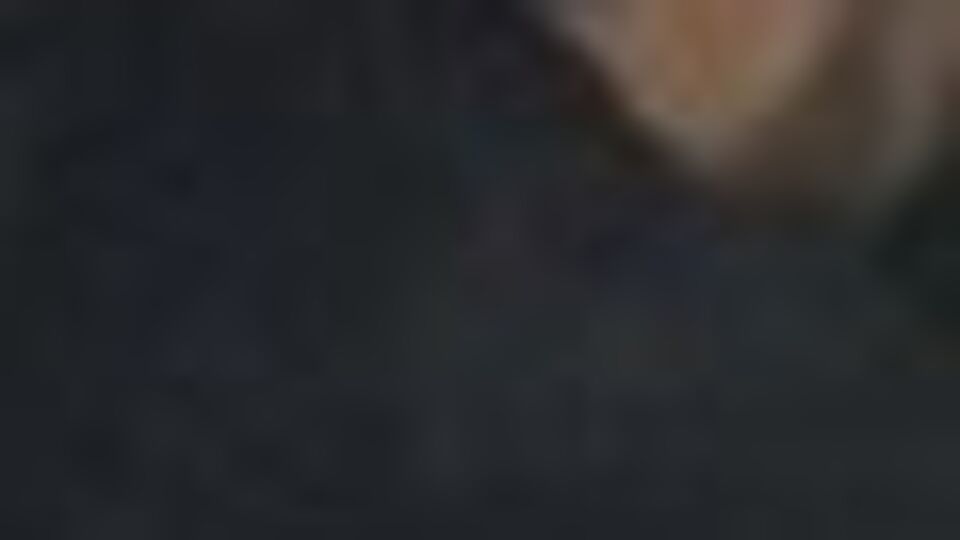 Ormanlık alanda 74 düzensiz göçmen yakalandı