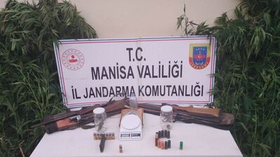 Üzüm bağı kiralayıp, kenevir yetiştirmişler