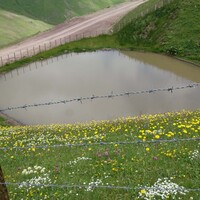 Dipsiz Göl, 'çamur göl' oldu