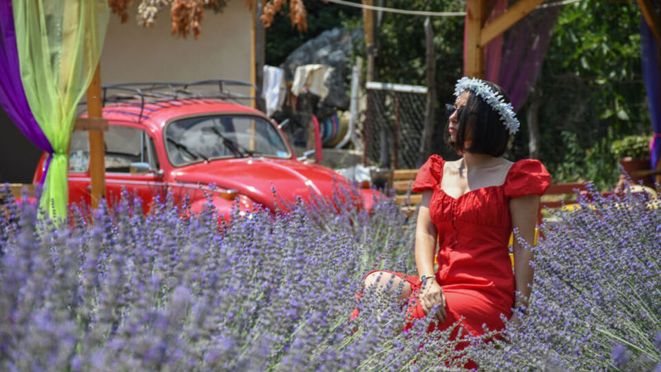 Fotoğraf için birbirleriyle yarıştılar