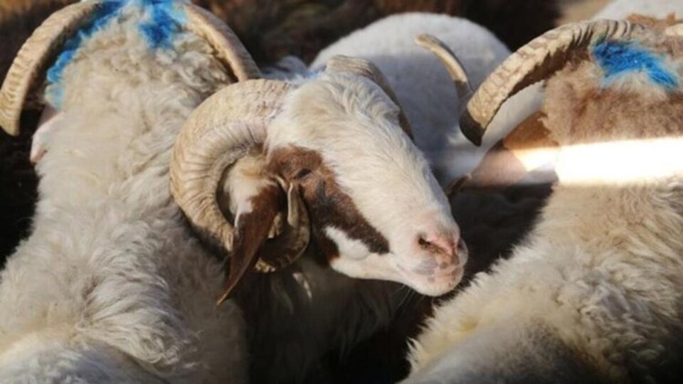 Bayrama kaç gün kaldı?