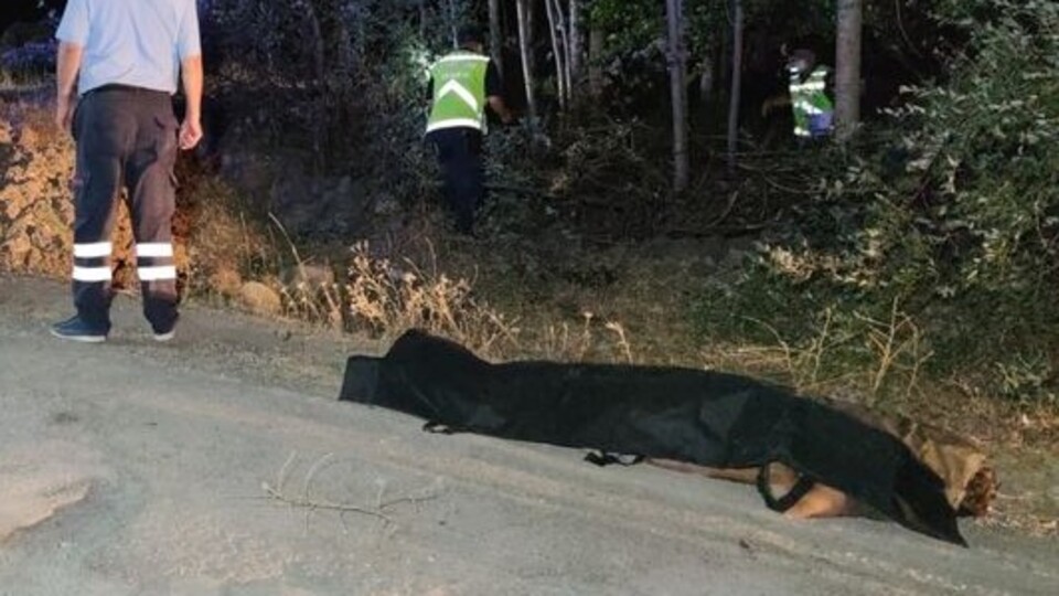 Katliam gibi kaza: 12 ölü, 20 yaralı