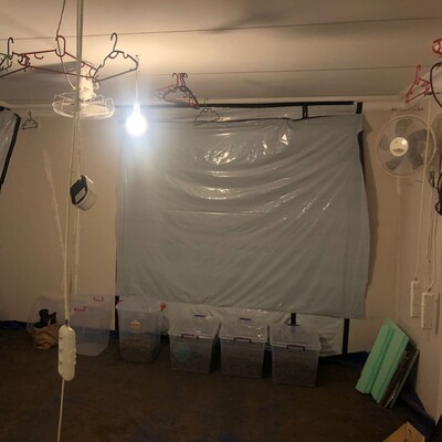 Alarmı çalan villada şoke eden görüntü!