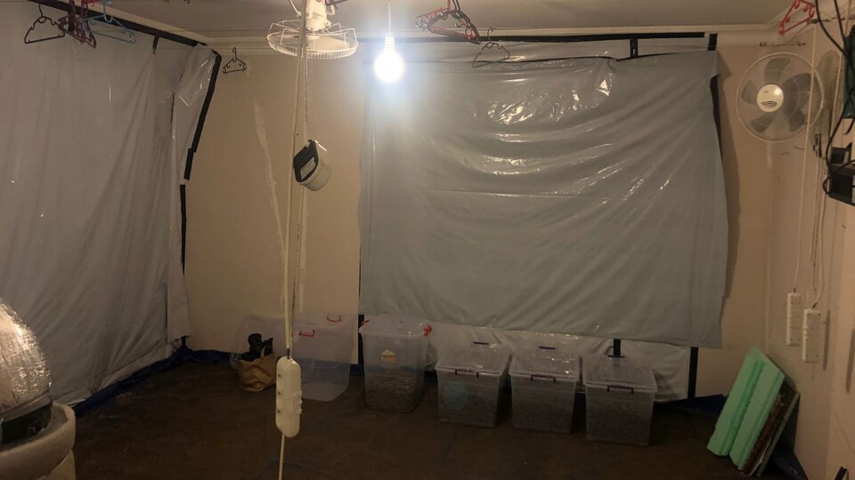 Alarmı çalan villada şoke eden görüntü!