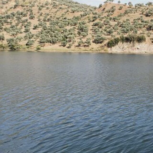 Piknikte gölete düşen kadının cansız bedenine ulaşıldı