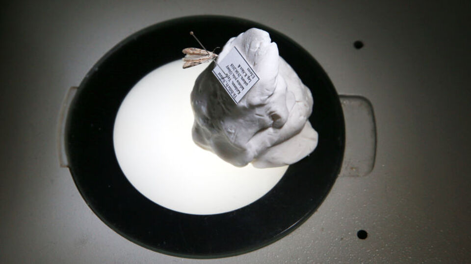 Nemrut Kalderası'nda keşfedildi