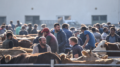 Sağlık Bakanlığı'ndan çok kritik açıklama!