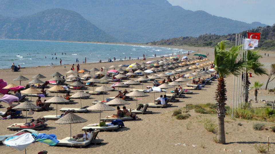 Yavru carettalar İztuzu Plajı'nda mavi sularla buluşuyor