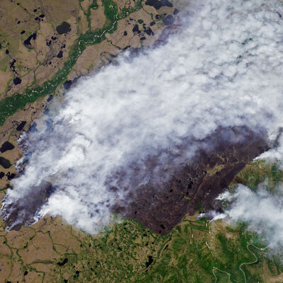 ABD'den sonra Rusya da yangınlara mücadele ediyor!