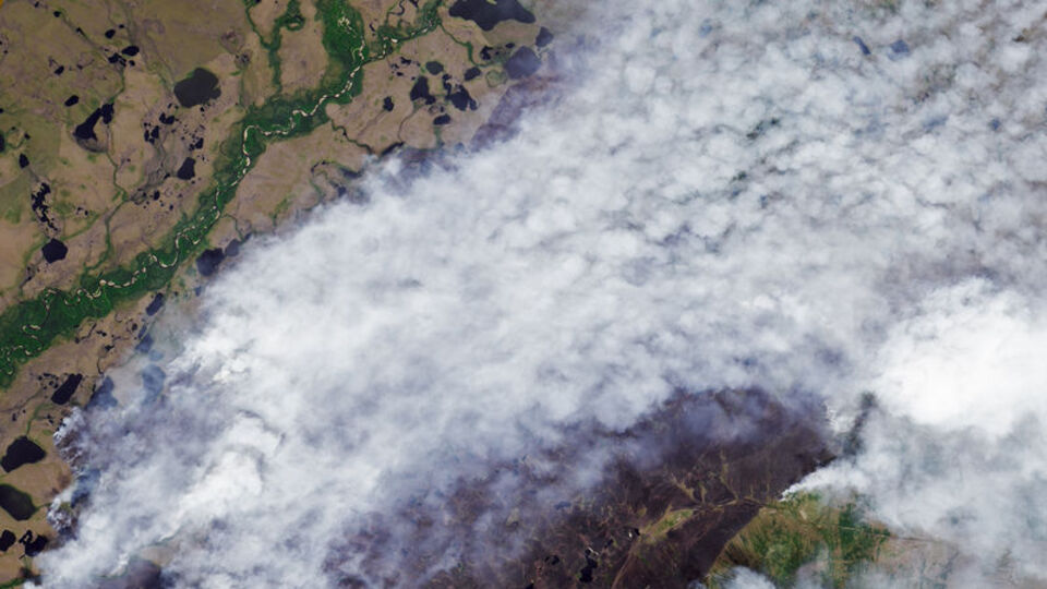 ABD'den sonra Rusya da yangınlara mücadele ediyor!