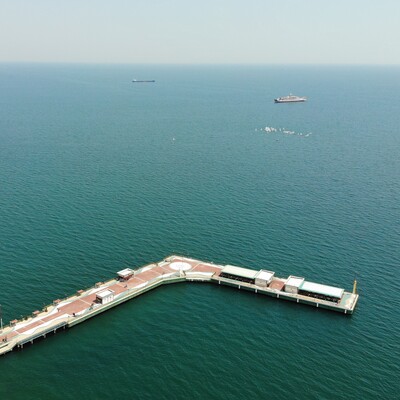 Bakan Kurum'dan sevindiren 'müsilaj' açıklaması