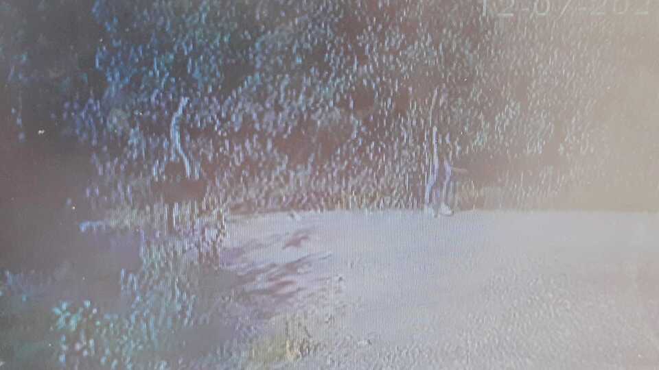 Taşla vurduğu genç kızı ormana götürdü!