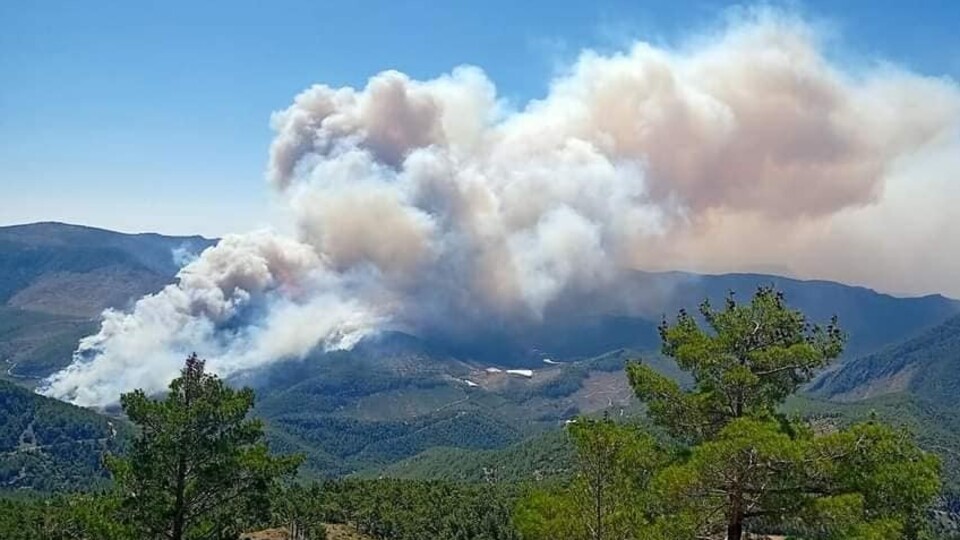 Bir günde 20 yangın! Mersin'de seferberlik