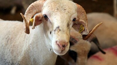 Bayram tatili ne zaman, hangi gün başlıyor?