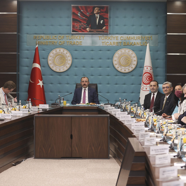 'Türkiye'nin stratejik hedefi AB'ye tam üyelik'