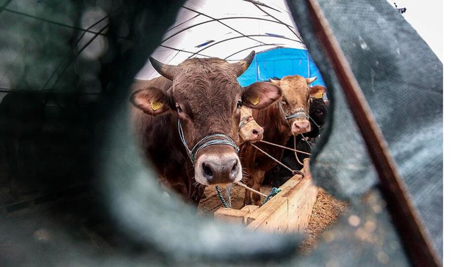 Arefe günü tatil mi?