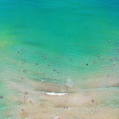 Karadeniz'in incisi...