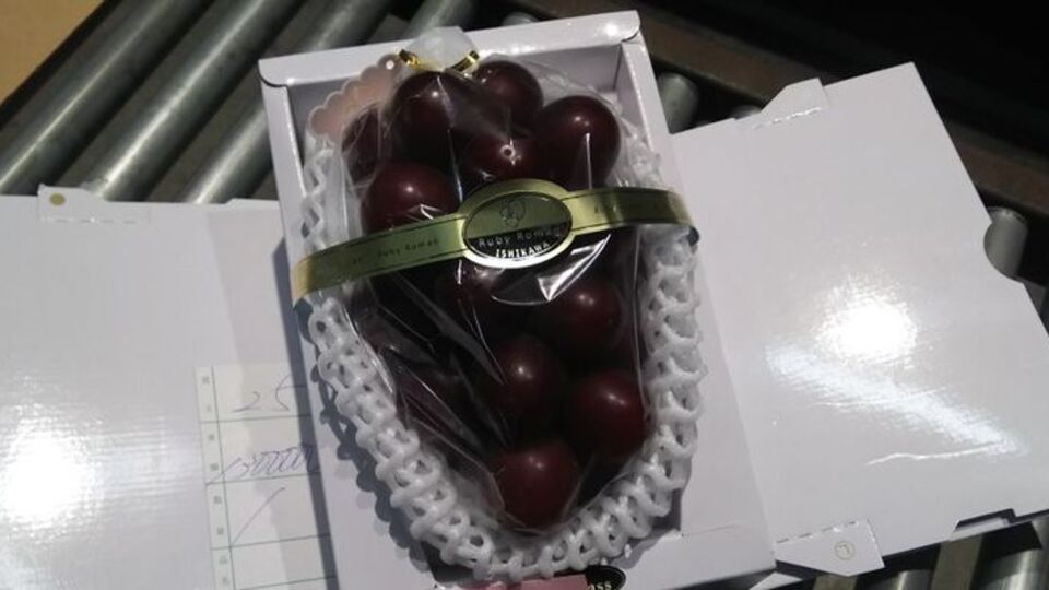 Salkımı 108 bin TL! "Emeklerini düşündüğümüzde az bile"