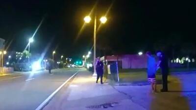 ABD'de şoke eden olay: Timsahı çatıdan atmaya çalıştı!