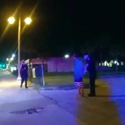 ABD'de şoke eden olay: Timsahı çatıdan atmaya çalıştı!