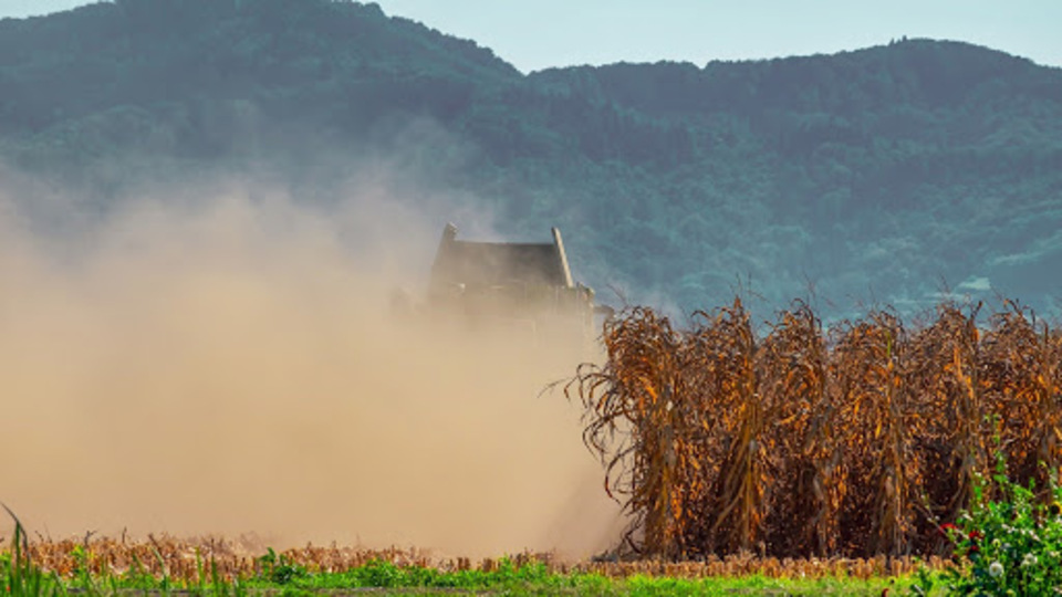 İklim değişikliği ile mücadelede eylem planı