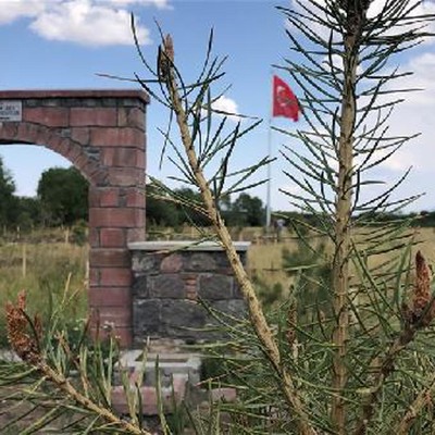 Turistin sözlerine üzülüp yapmaya karar verdi