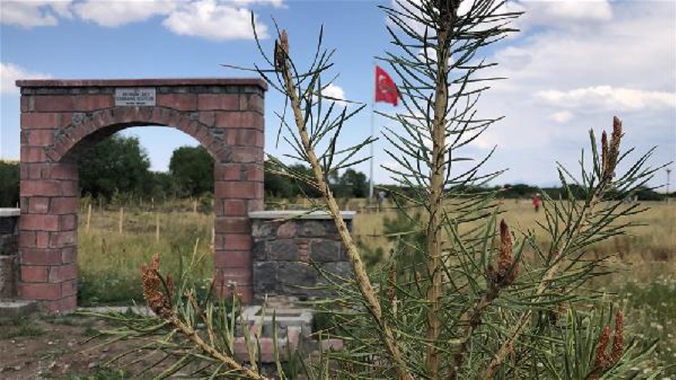 Turistin sözlerine üzülüp yapmaya karar verdi