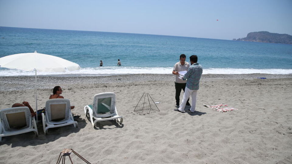 Caretta caretta yavruları denizle buluşmaya başladı