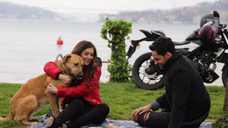 Mirasyedi filmi oyuncuları ve konusu