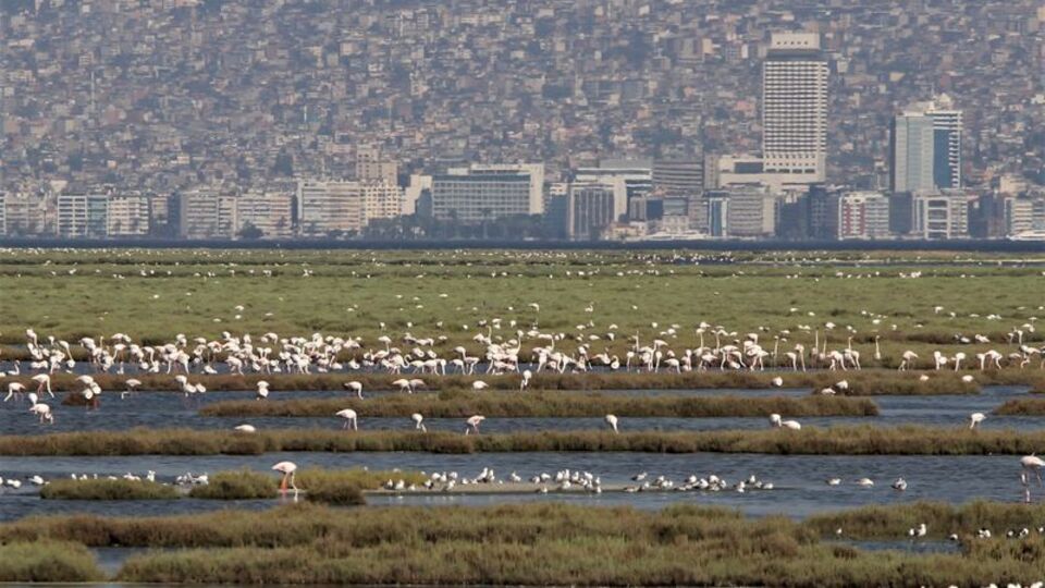 Gediz Deltası'nda korkutan görüntü