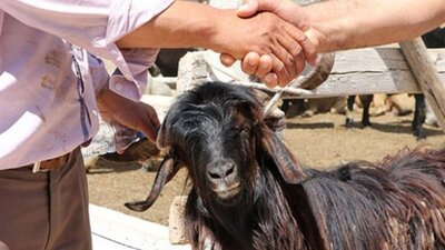 Kurban keserken nasıl dua okunur?