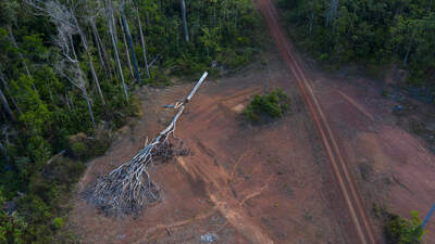 Amazonlarda elektrik direği düştü: 6 kişi hayatını kaybetti