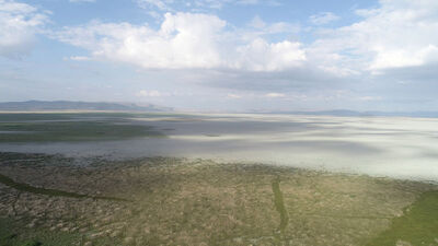 Nasreddin Hoca maya çalmıştı, şimdi çöle döndü!